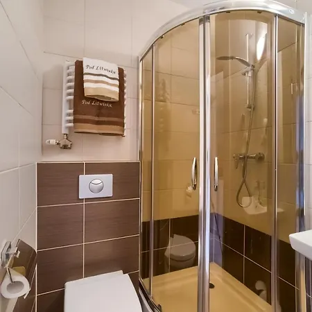 Dom Wypocz Pod Litwinka Panzió 3*